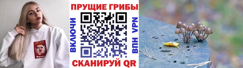 Галлюциногенные грибы прущие грибы  МЕГА ссылки  Шацк 